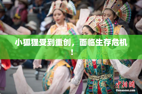 小狐狸受到重创，面临生存危机！