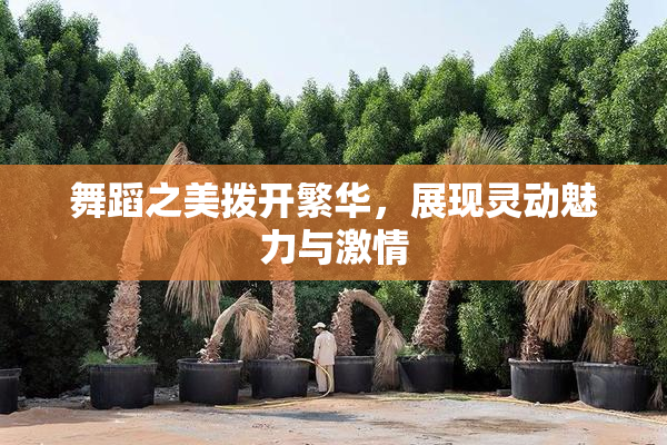 舞蹈之美拨开繁华，展现灵动魅力与激情