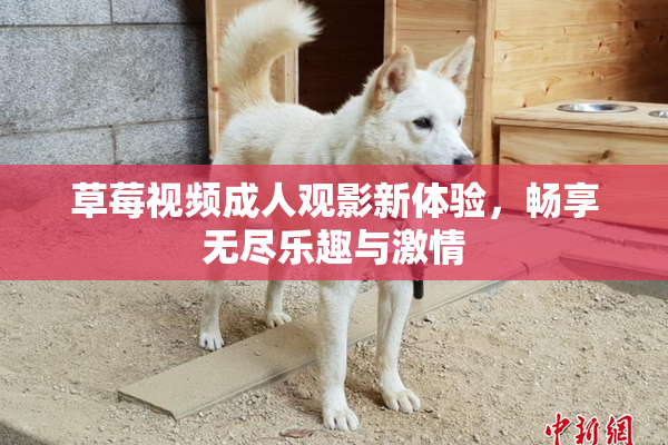 草莓视频成人观影新体验，畅享无尽乐趣与激情