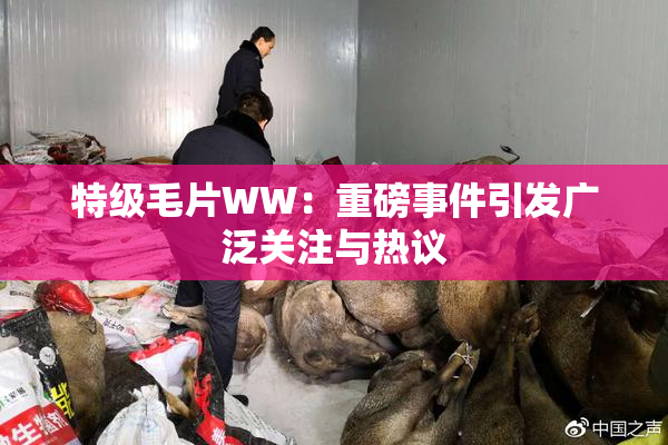 特级毛片WW：重磅事件引发广泛关注与热议