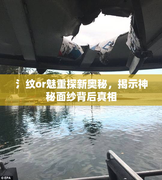 氵纹or魅重探新奥秘，揭示神秘面纱背后真相