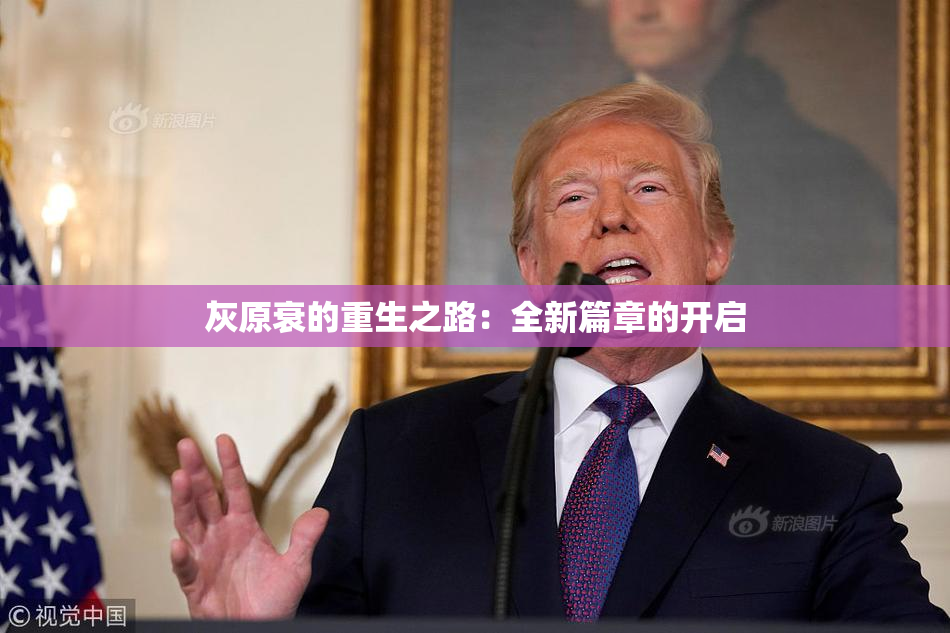 灰原衰的重生之路：全新篇章的开启