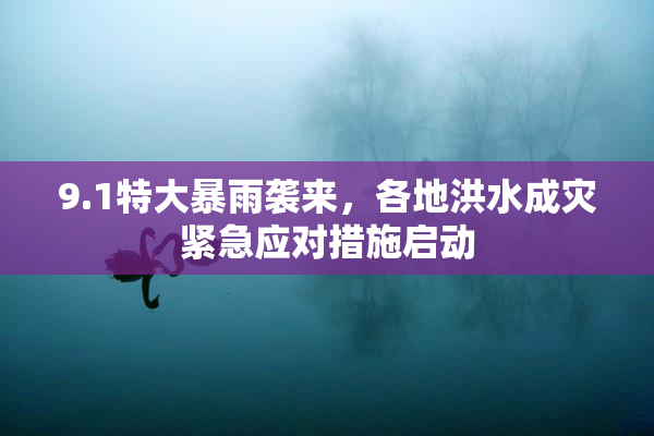 9.1特大暴雨袭来，各地洪水成灾紧急应对措施启动