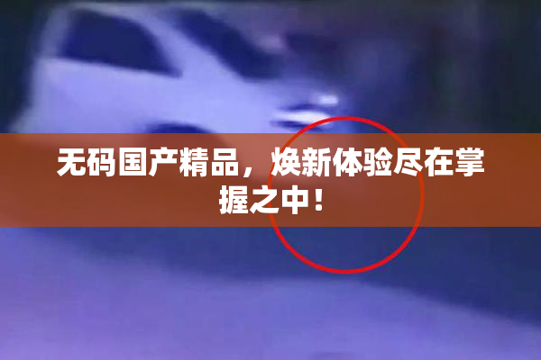 无码国产精品，焕新体验尽在掌握之中！