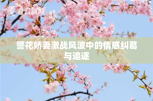 警花娇妻激战风波中的情感纠葛与追逐