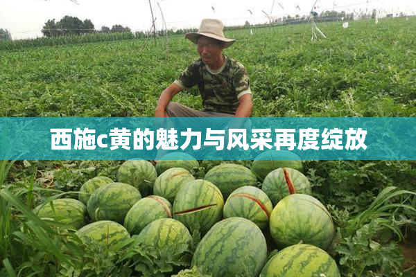 西施c黄的魅力与风采再度绽放