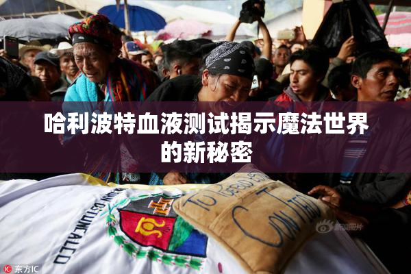 哈利波特血液测试揭示魔法世界的新秘密