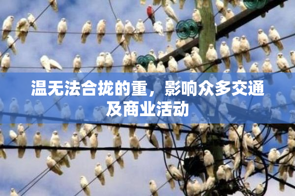 温无法合拢的重，影响众多交通及商业活动
