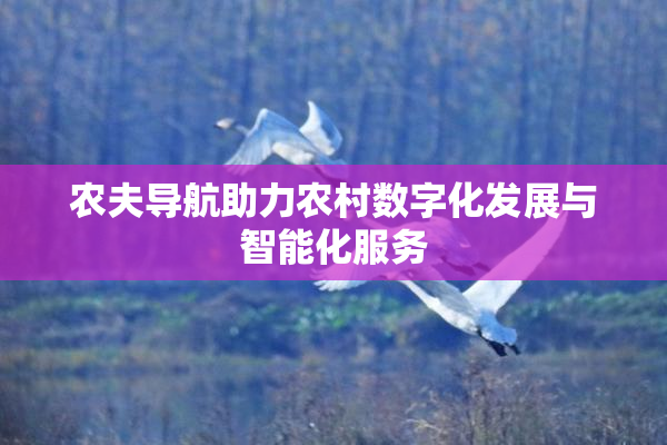 农夫导航助力农村数字化发展与智能化服务