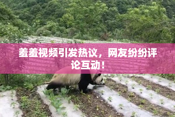 羞羞视频引发热议，网友纷纷评论互动！