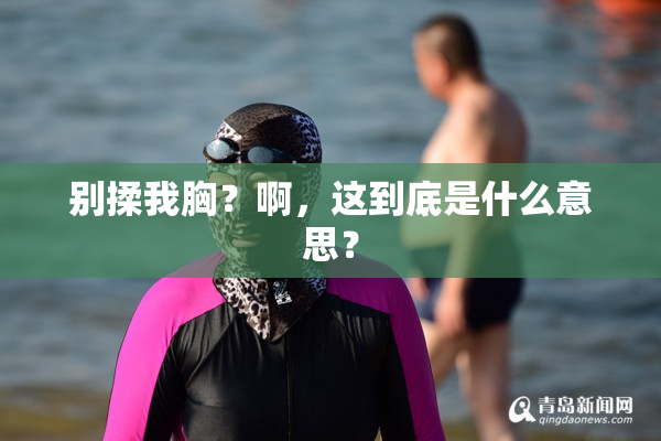 别揉我胸？啊，这到底是什么意思？