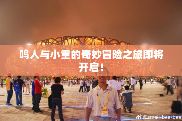 鸣人与小重的奇妙冒险之旅即将开启！