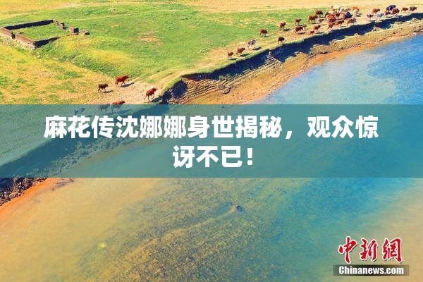 麻花传沈娜娜身世揭秘，观众惊讶不已！