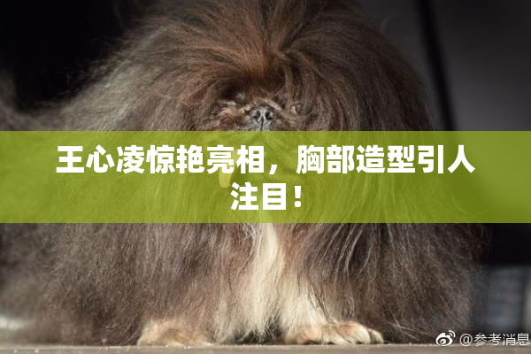 王心凌惊艳亮相，胸部造型引人注目！