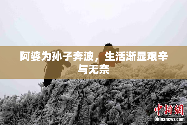 阿婆为孙子奔波，生活渐显艰辛与无奈