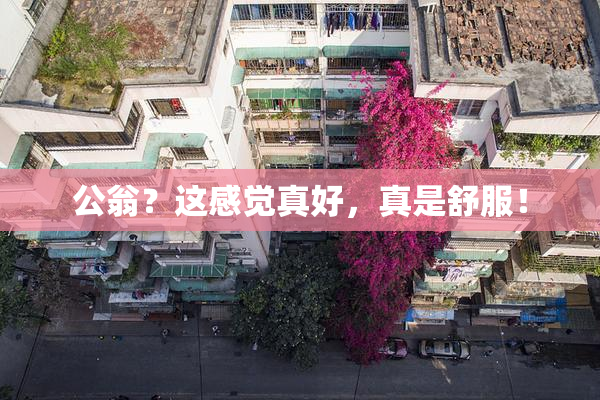 公翁？这感觉真好，真是舒服！