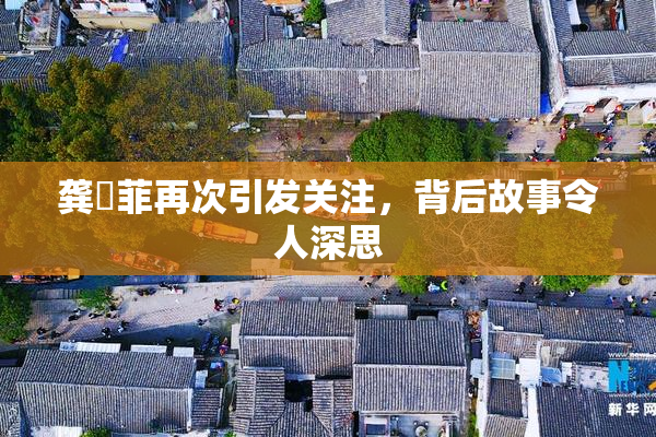 龚玥菲再次引发关注，背后故事令人深思