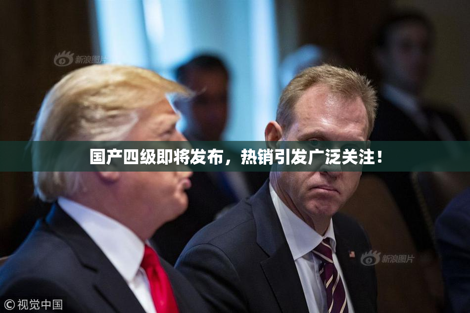 国产四级即将发布，热销引发广泛关注！