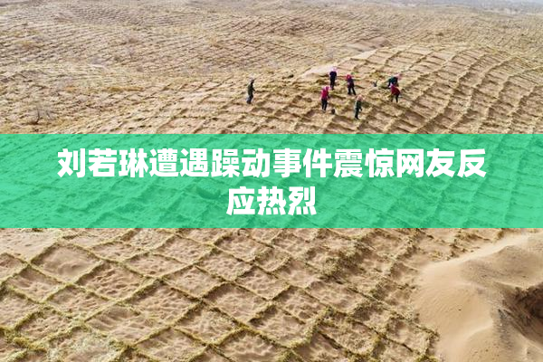 刘若琳遭遇躁动事件震惊网友反应热烈