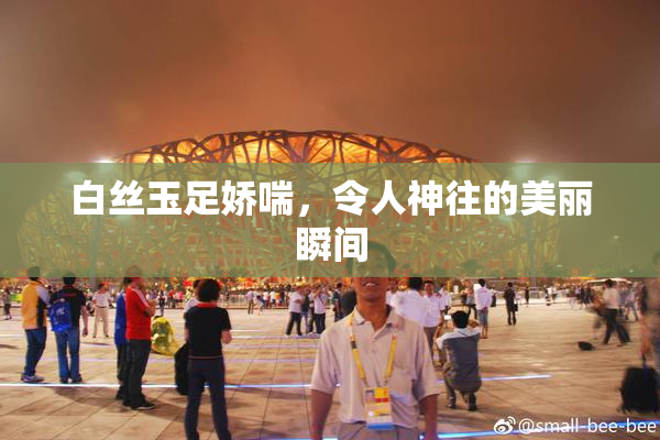 白丝玉足娇喘，令人神往的美丽瞬间