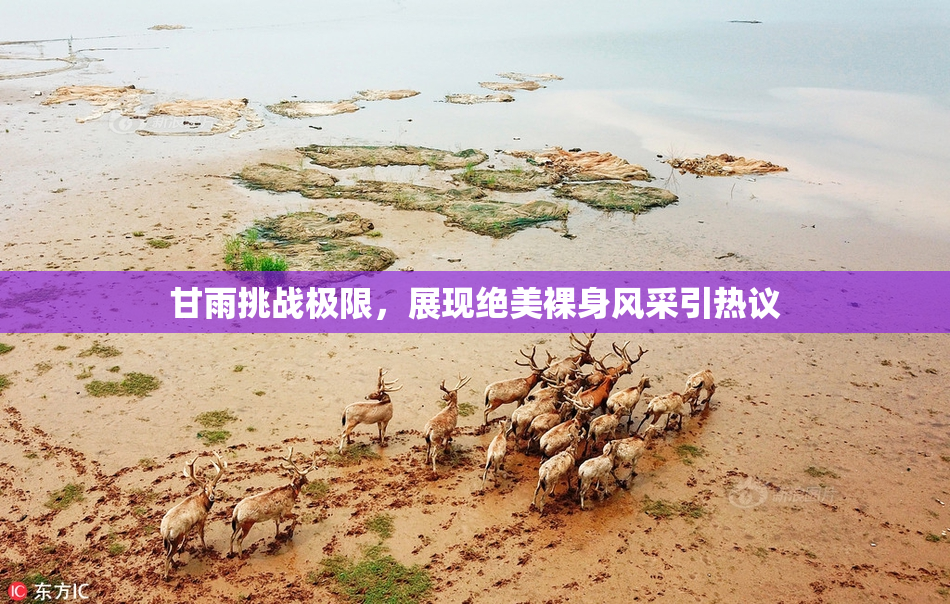 甘雨挑战极限，展现绝美裸身风采引热议