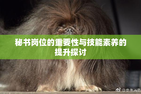 秘书岗位的重要性与技能素养的提升探讨