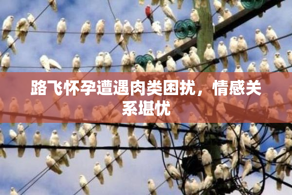 路飞怀孕遭遇肉类困扰，情感关系堪忧