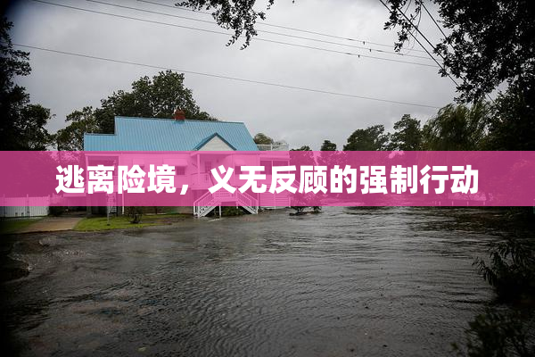 逃离险境，义无反顾的强制行动