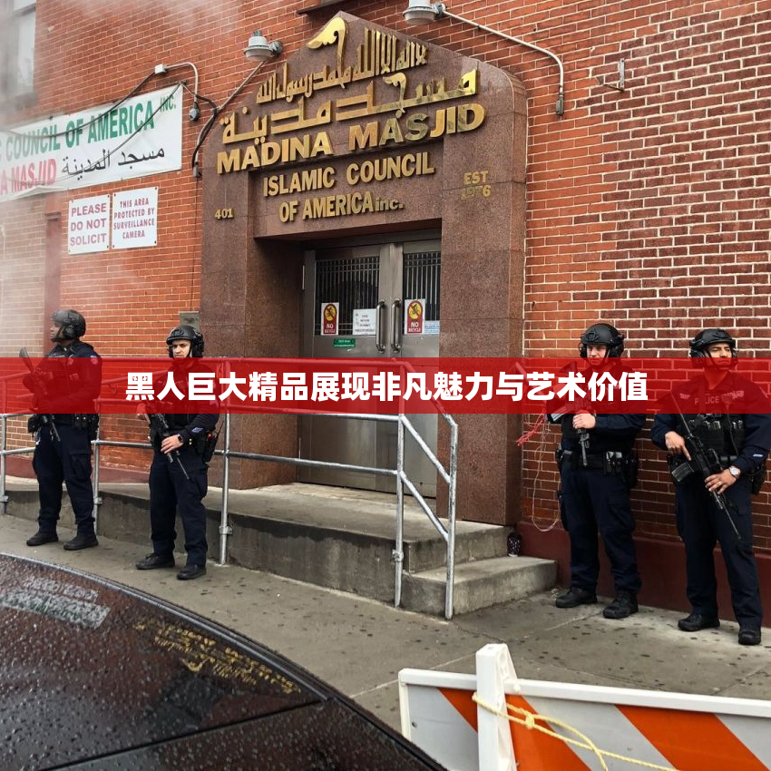 黑人巨大精品展现非凡魅力与艺术价值