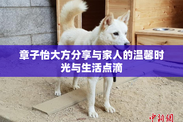 章子怡大方分享与家人的温馨时光与生活点滴