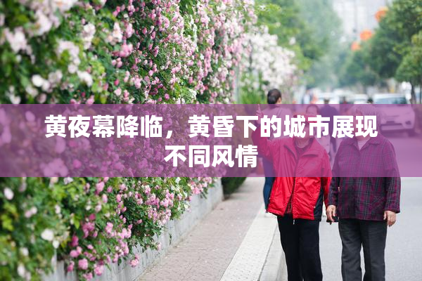 黄夜幕降临，黄昏下的城市展现不同风情