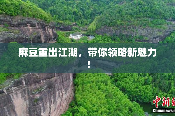 麻豆重出江湖，带你领略新魅力！