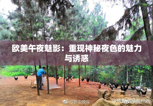 欧美午夜魅影：重现神秘夜色的魅力与诱惑