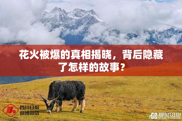 花火被爆的真相揭晓，背后隐藏了怎样的故事？