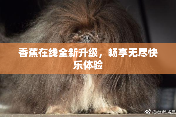 香蕉在线全新升级，畅享无尽快乐体验