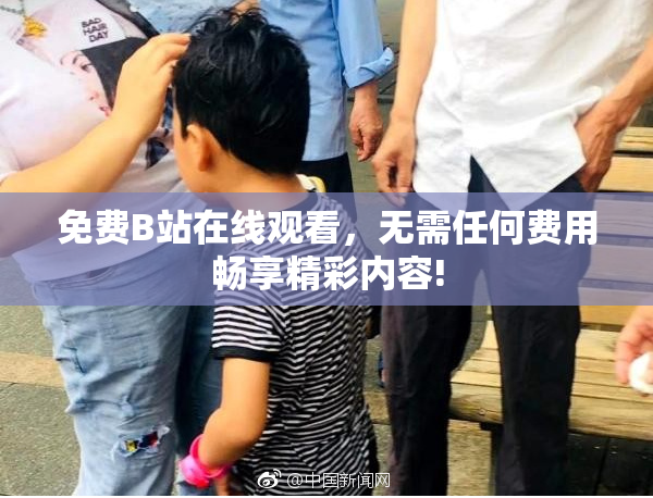 免费B站在线观看，无需任何费用畅享精彩内容!