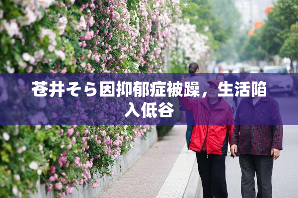 苍井そら因抑郁症被躁，生活陷入低谷