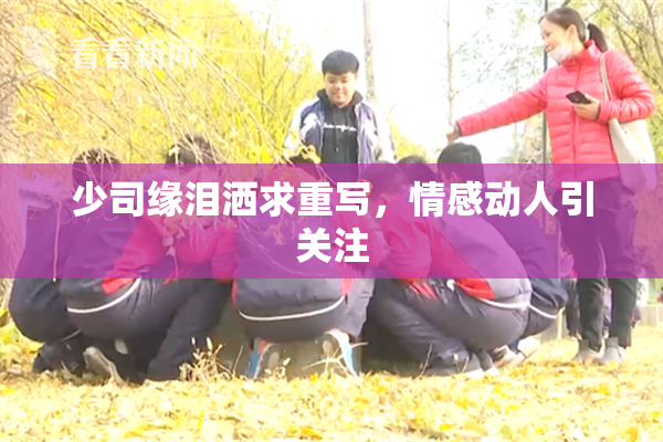少司缘泪洒求重写，情感动人引关注