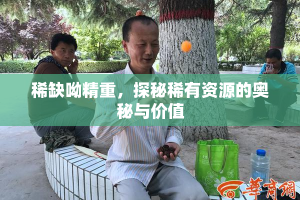 稀缺呦精重，探秘稀有资源的奥秘与价值