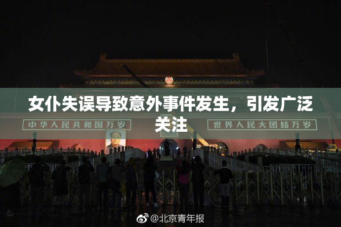 女仆失误导致意外事件发生，引发广泛关注