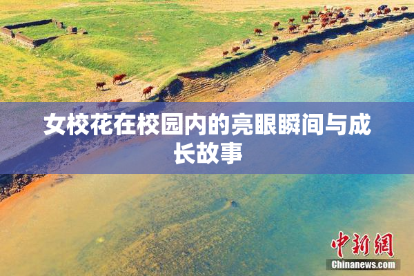 女校花在校园内的亮眼瞬间与成长故事