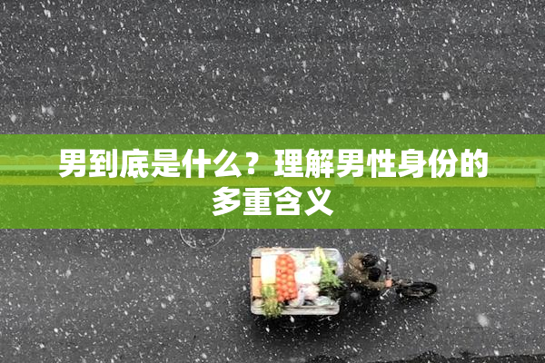 男到底是什么？理解男性身份的多重含义