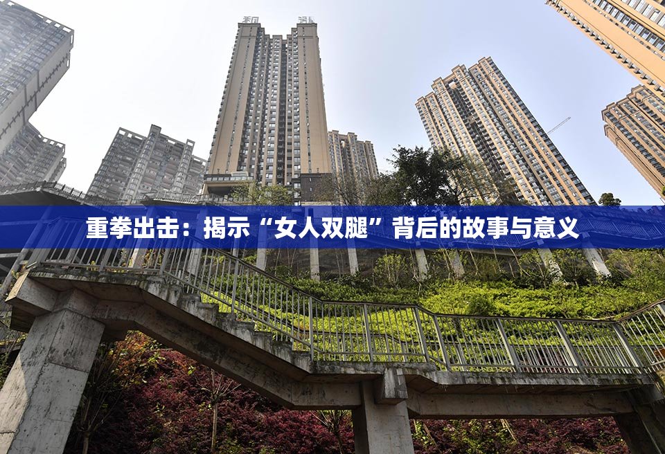 重拳出击：揭示“女人双腿”背后的故事与意义