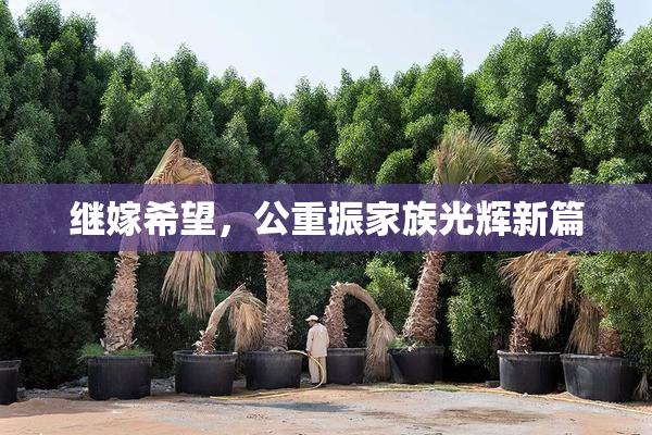 继嫁希望，公重振家族光辉新篇