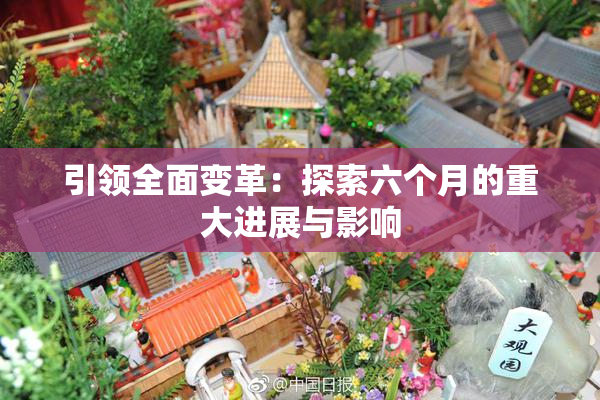 引领全面变革：探索六个月的重大进展与影响