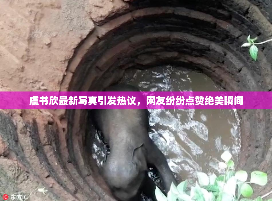 虞书欣最新写真引发热议，网友纷纷点赞绝美瞬间
