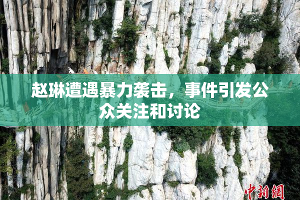 赵琳遭遇暴力袭击，事件引发公众关注和讨论