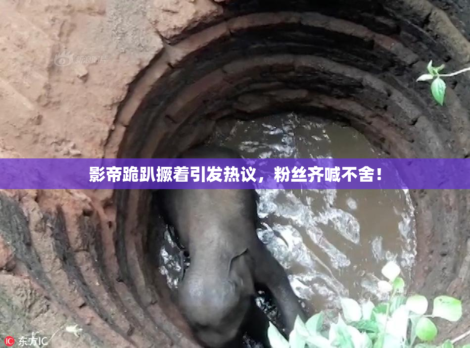 影帝跪趴撅着引发热议，粉丝齐喊不舍！