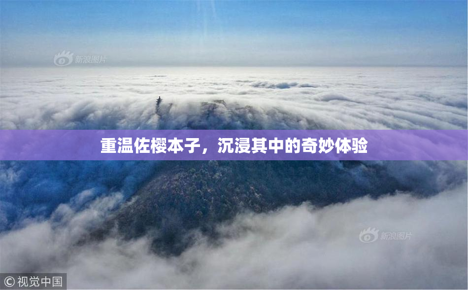 重温佐樱本子，沉浸其中的奇妙体验