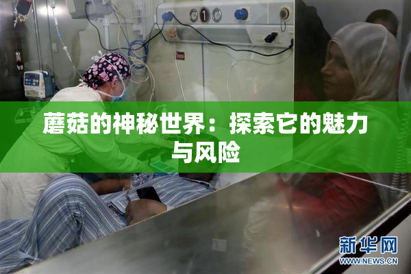 蘑菇的神秘世界：探索它的魅力与风险